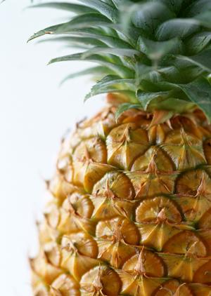 あんこう鍋の旨さと秘密を解明！絶品地元料理の魅力を徹底紹介！