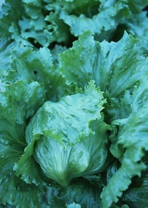 宿泊をしつつダイエットができるサポート